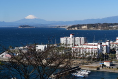 大崎公園からの富士山遠望
