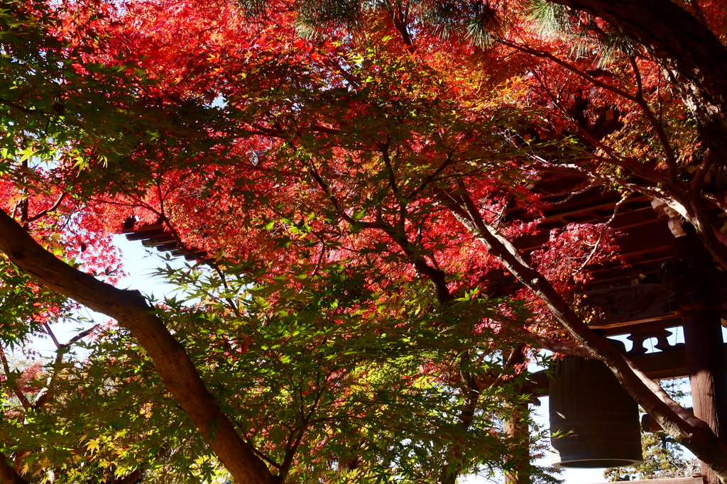 紅葉と梵鐘