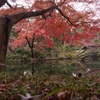 秋の庭園