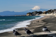 稲村ケ崎富士山④