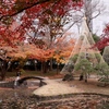 小石川後楽園紅葉