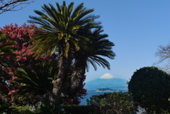 大崎公園からの富士