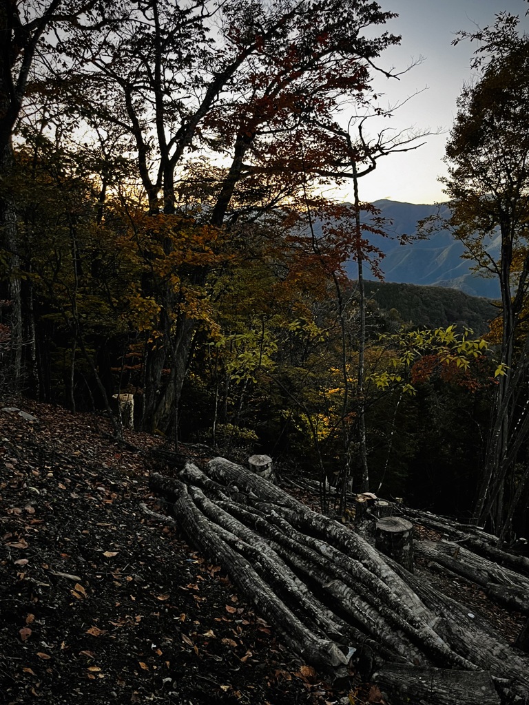 里山の秋