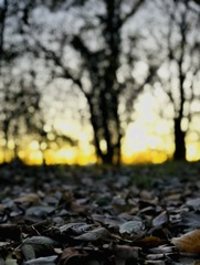 夕刻