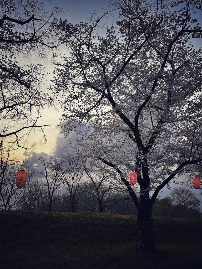 夕刻