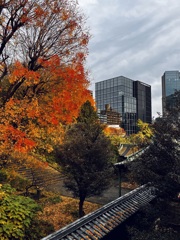 東京