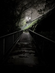 夜の小道