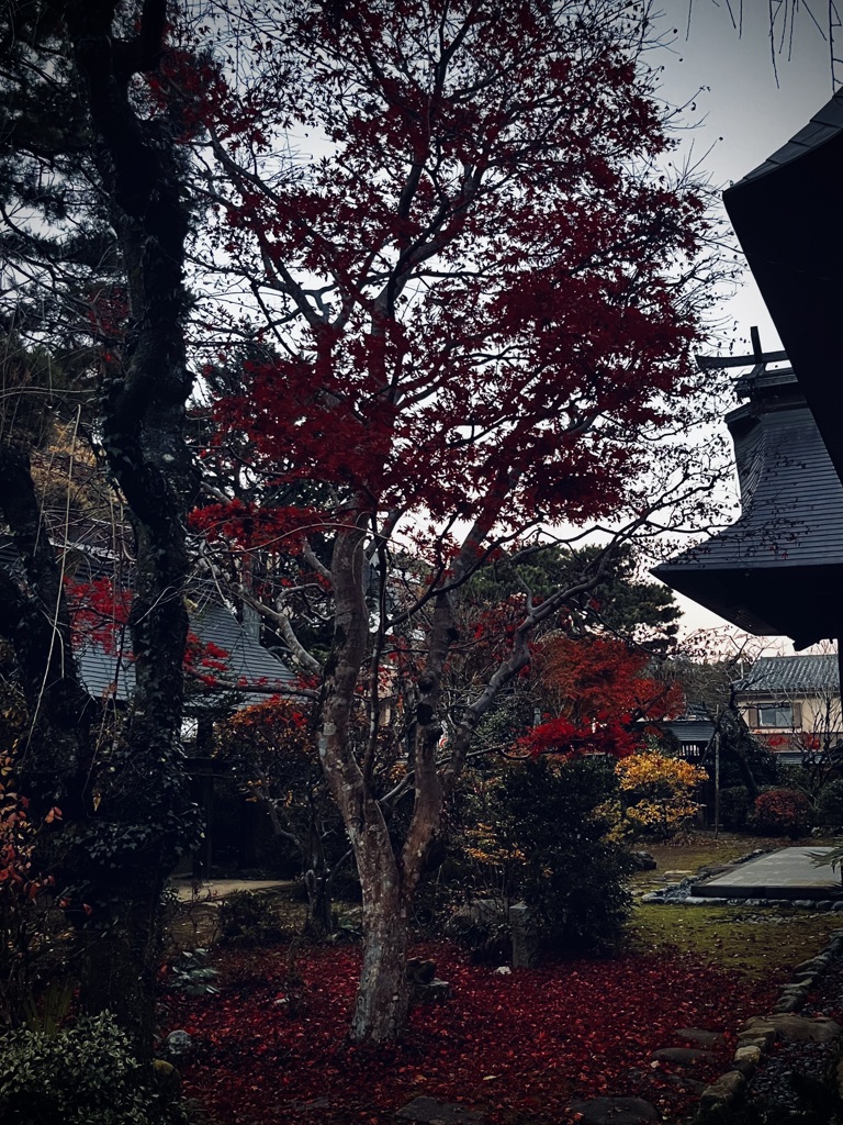立ち姿