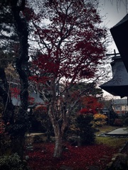 立ち姿