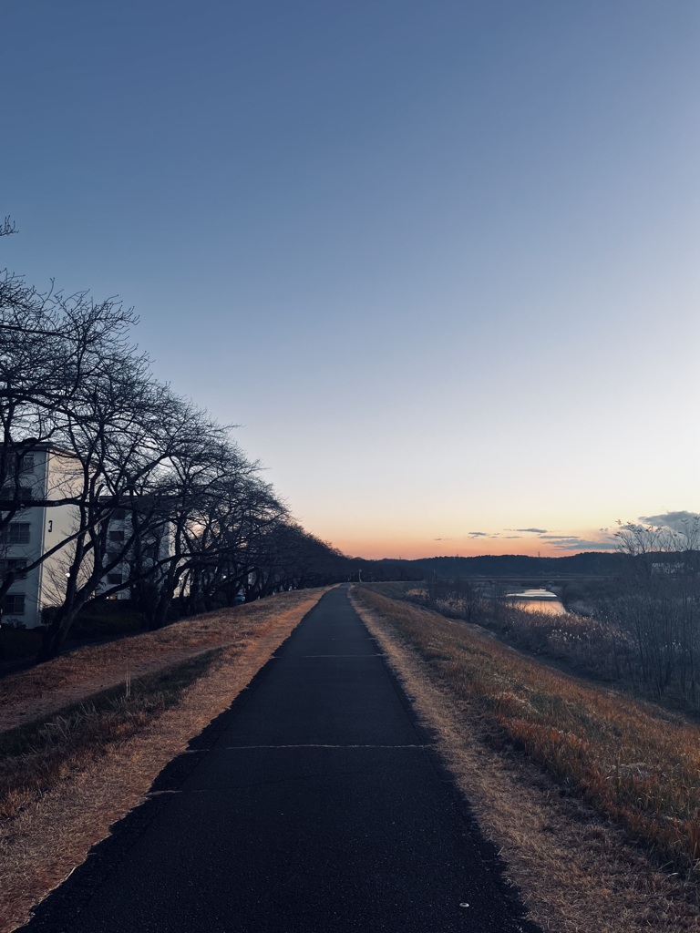 冬の空