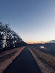 冬の空