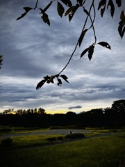 夕刻