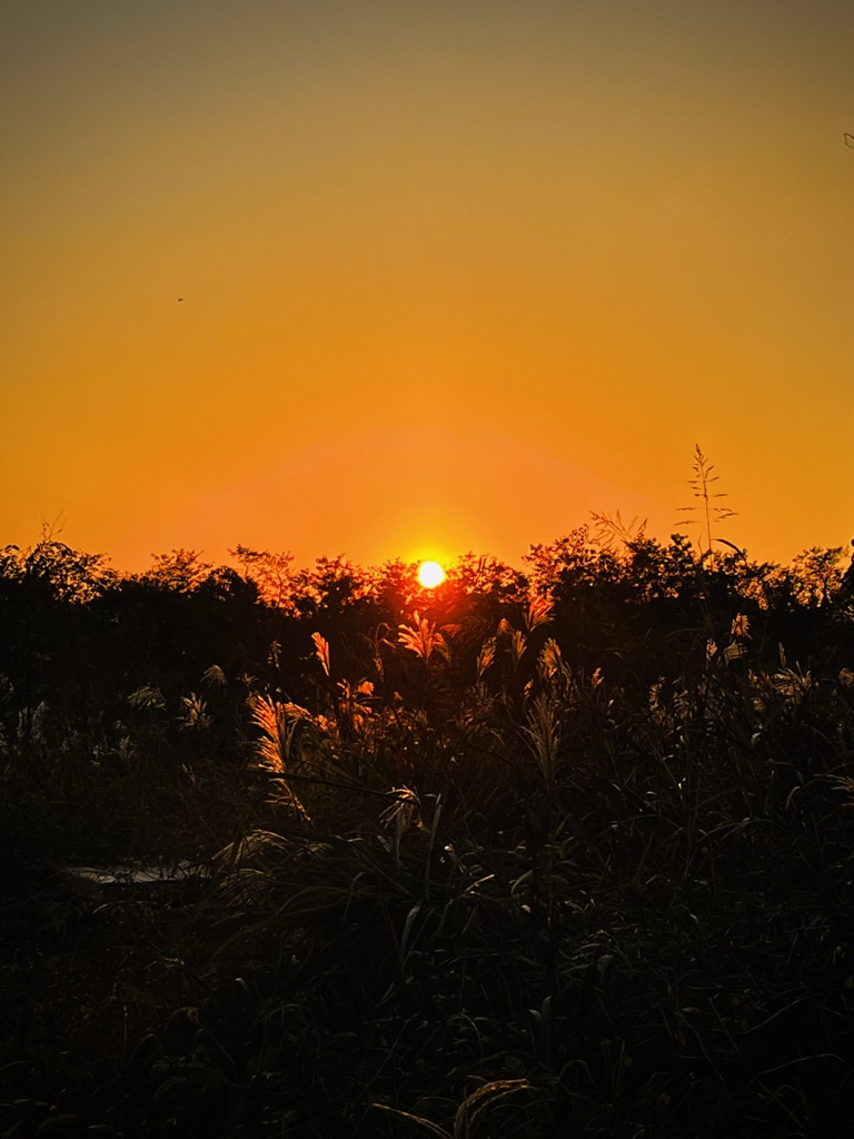 夕刻
