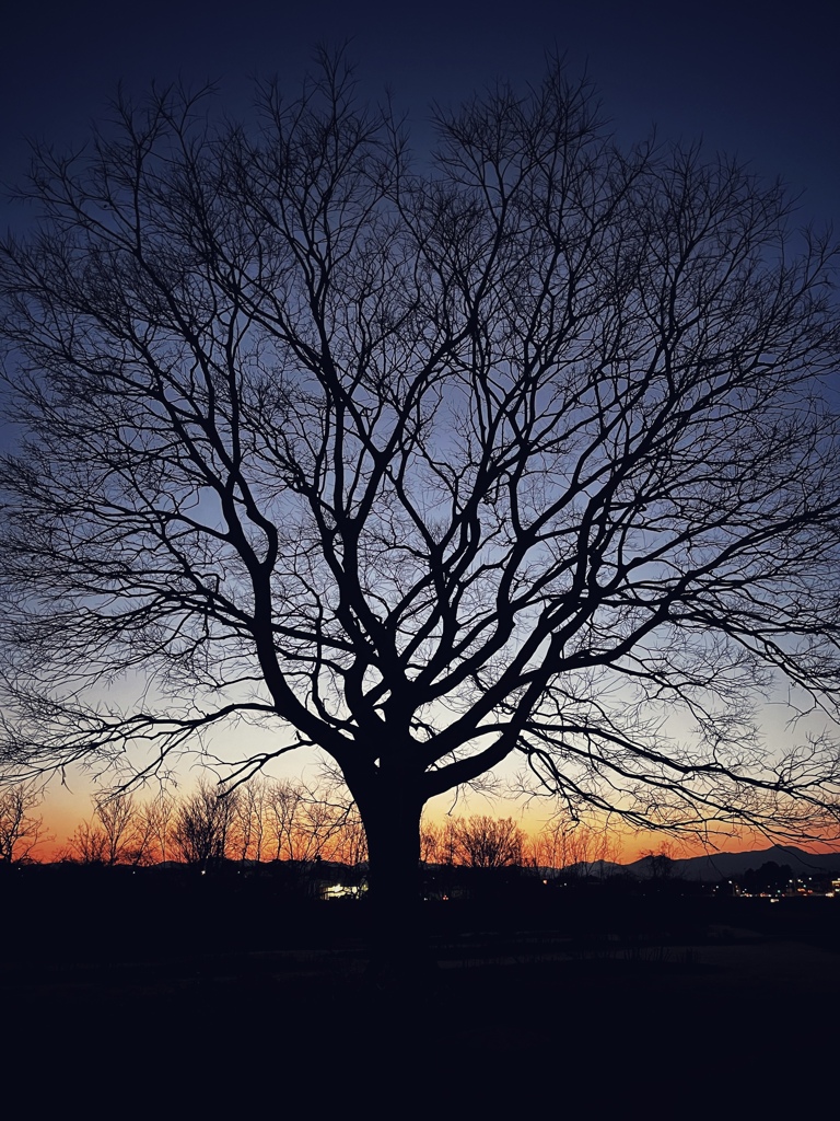 夕刻