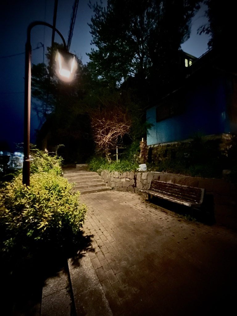 ベンチ