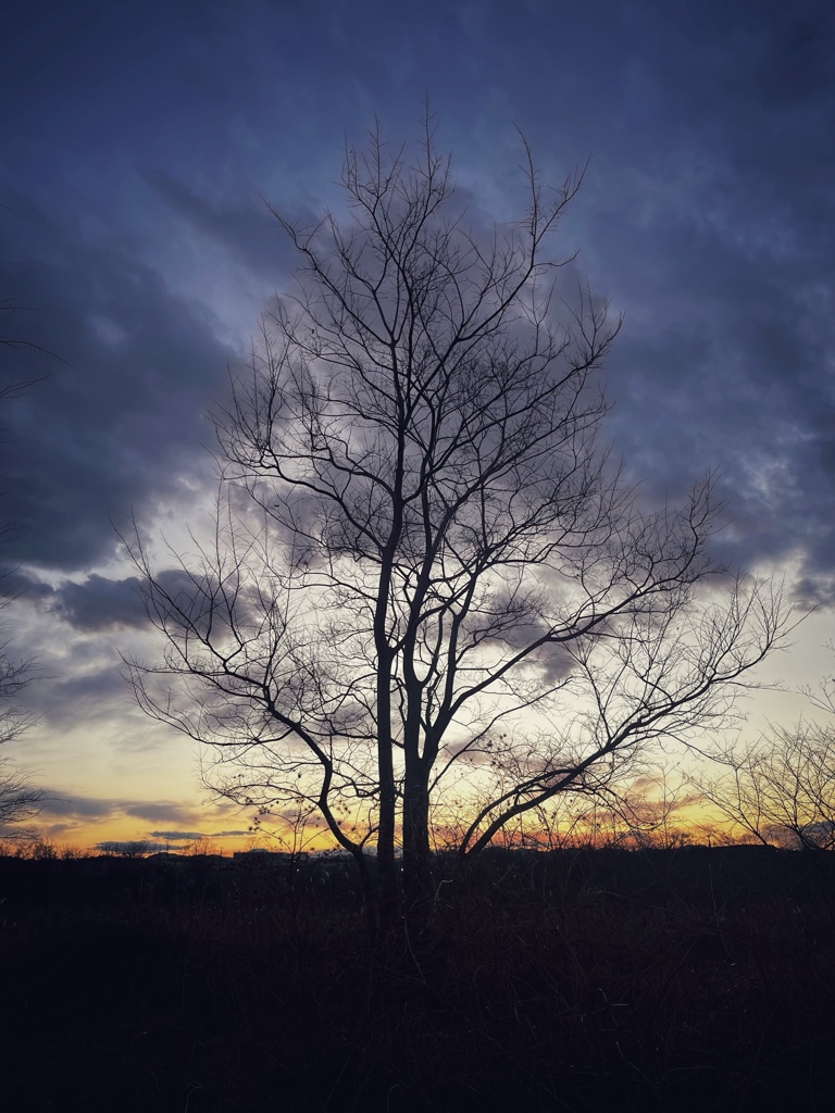 夕刻