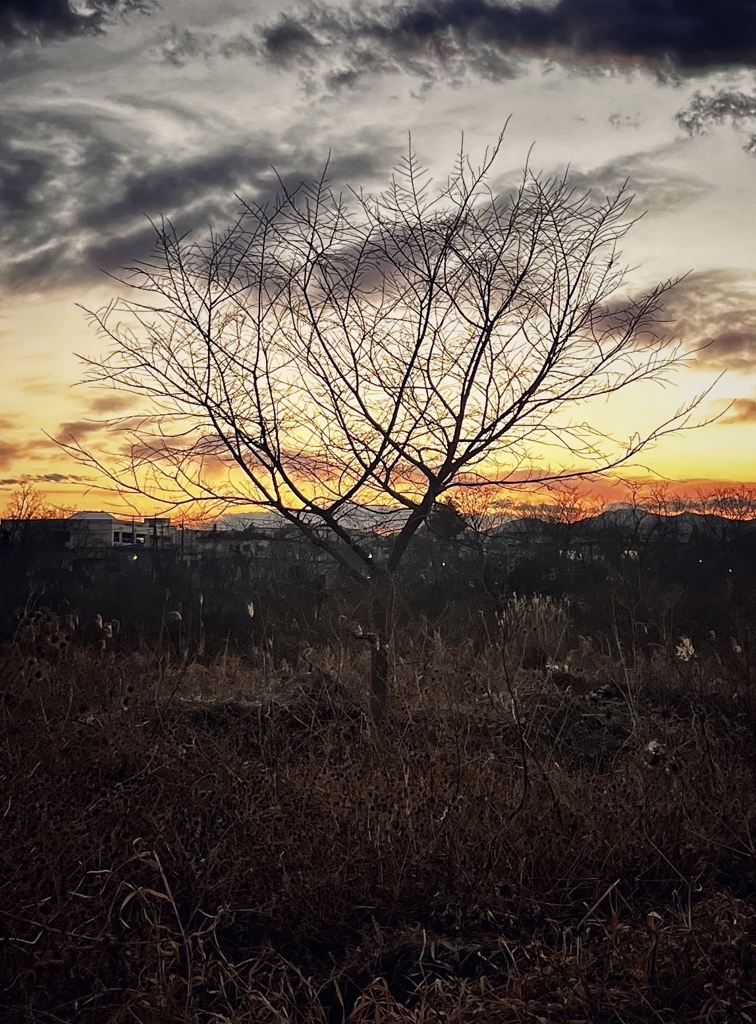 夕刻