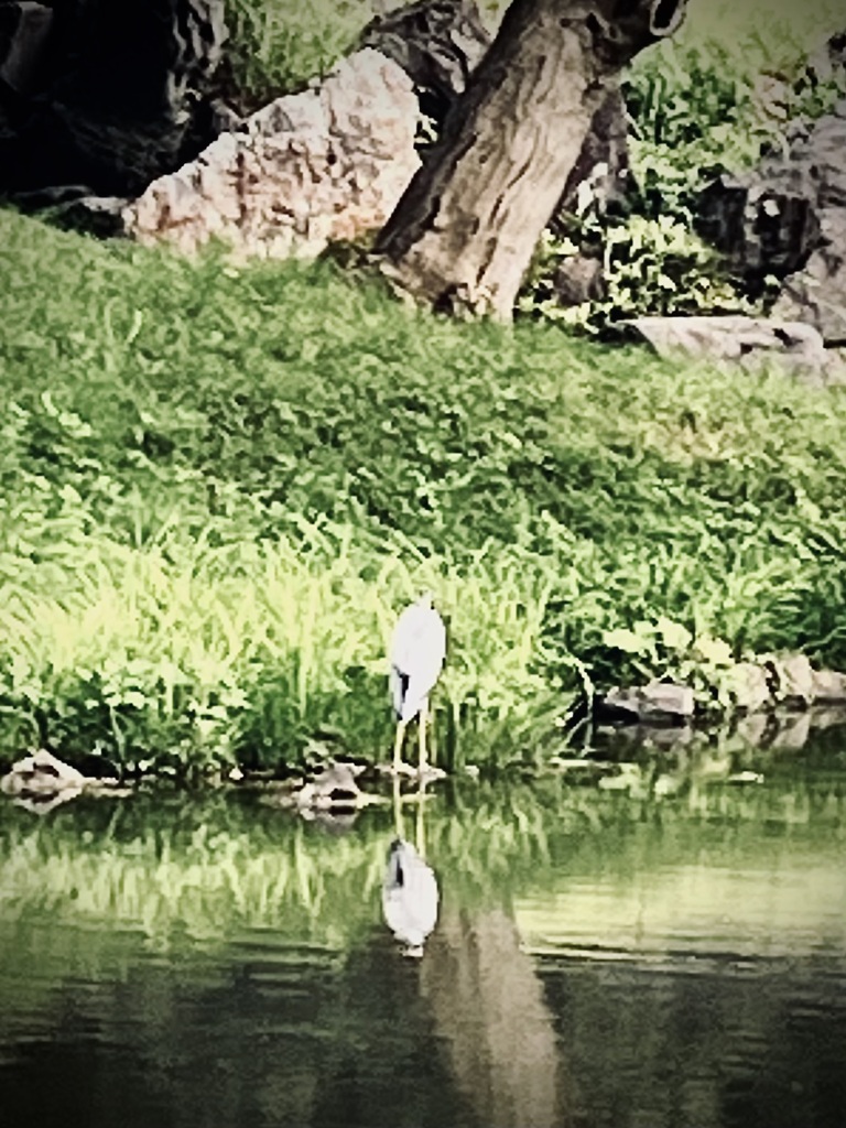 きみたちはどう生きるかがいた