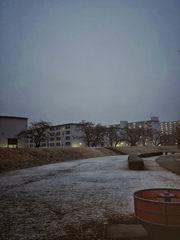 今年最初の燕が飛んだ日に降った、おそらく今年最後の雪