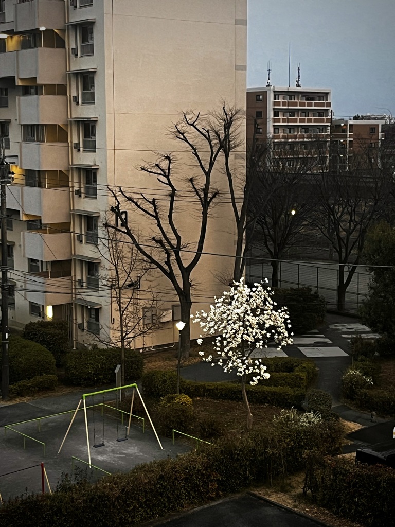 こぶし