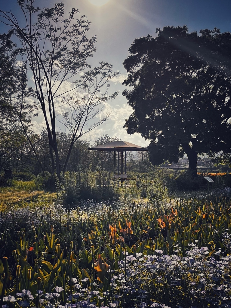 花園、秘密の？