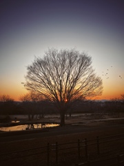 夕刻