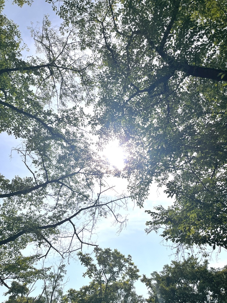 うだるような