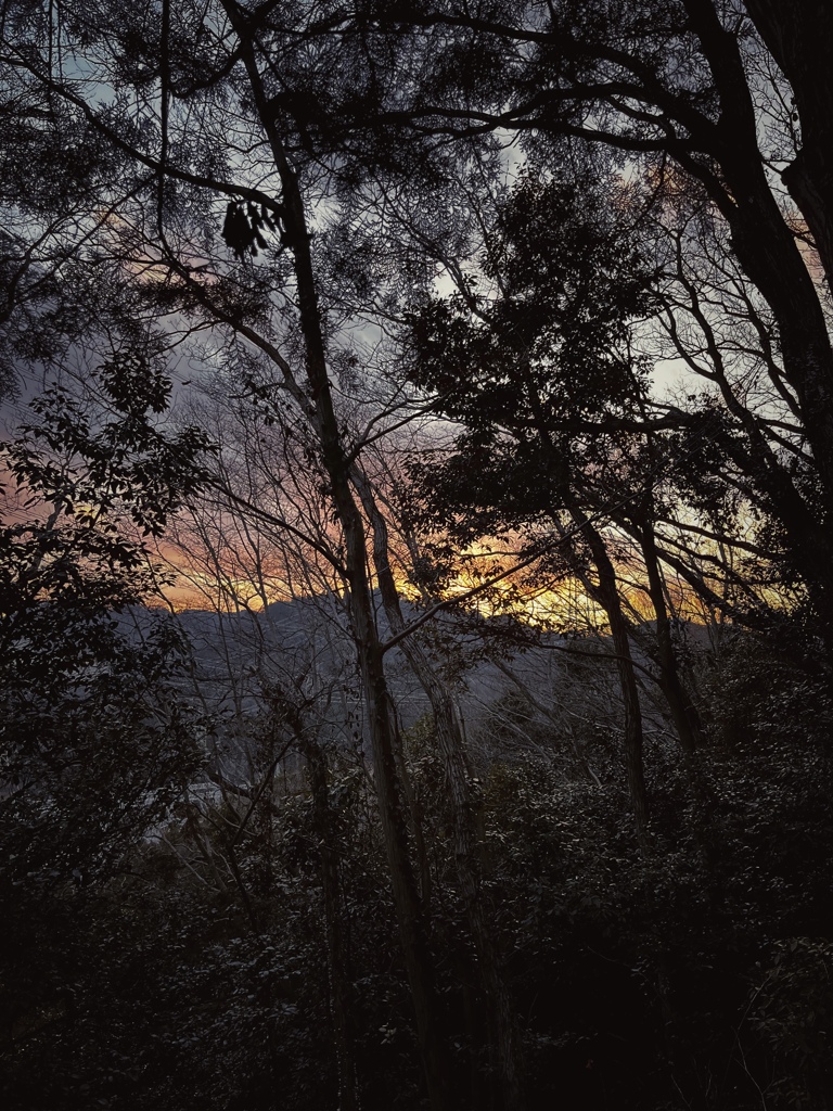 夕刻