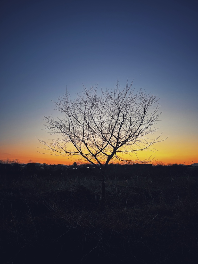 夕刻