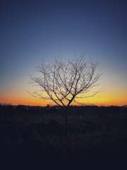夕刻