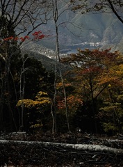 里山の秋