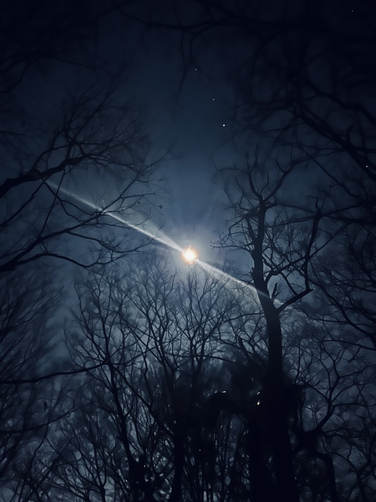 月夜