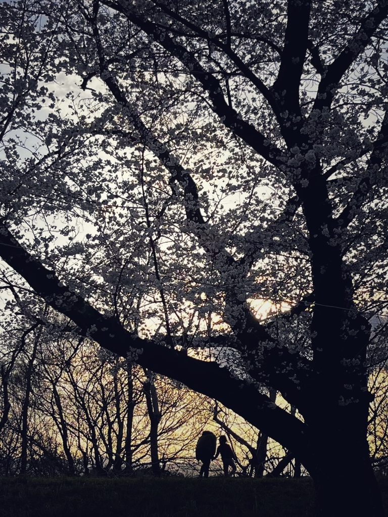 夕刻