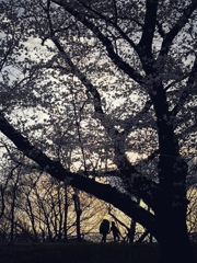 夕刻