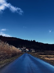 青い道