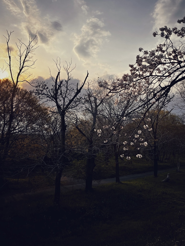 夕刻
