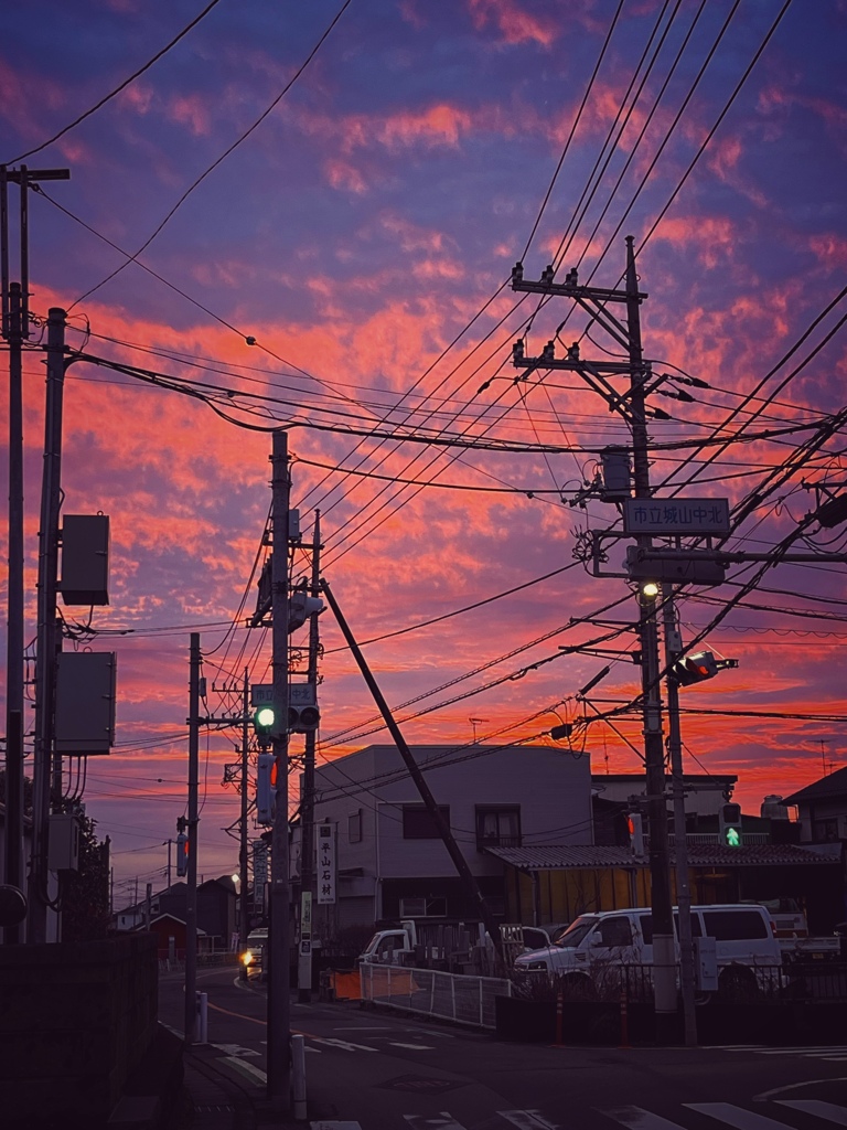 朝
