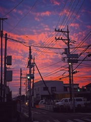 朝