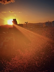 夕刻