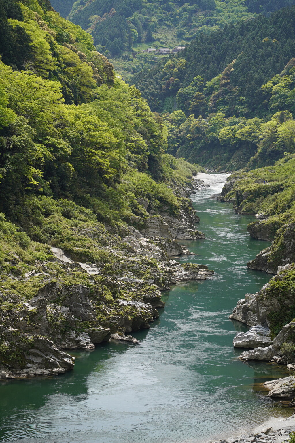 大歩危小歩危①