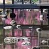 桜色の水面