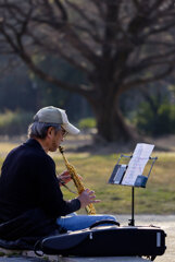 人生のメリーゴーランド