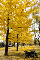 単車のある風景