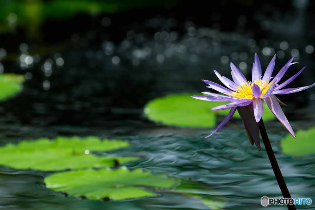 水遊び