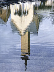 水鳥の棲むチャペル