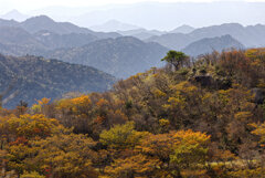 山頂の秋