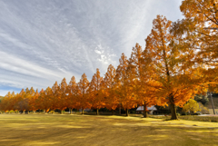 秋色の広場