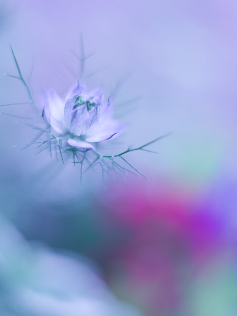 無垢な時