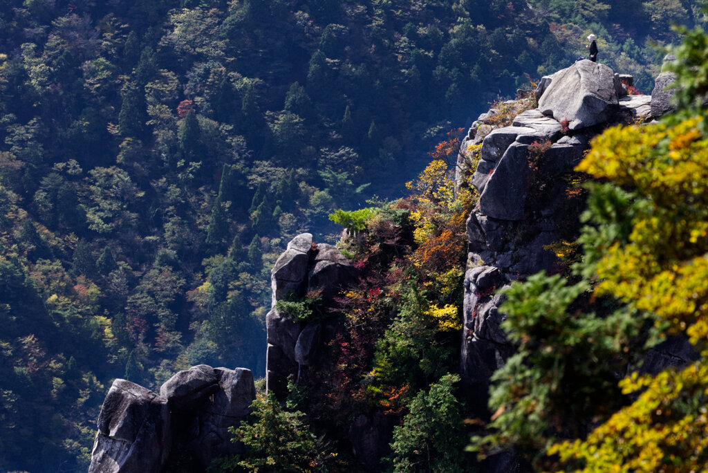 紅葉を愛でる人