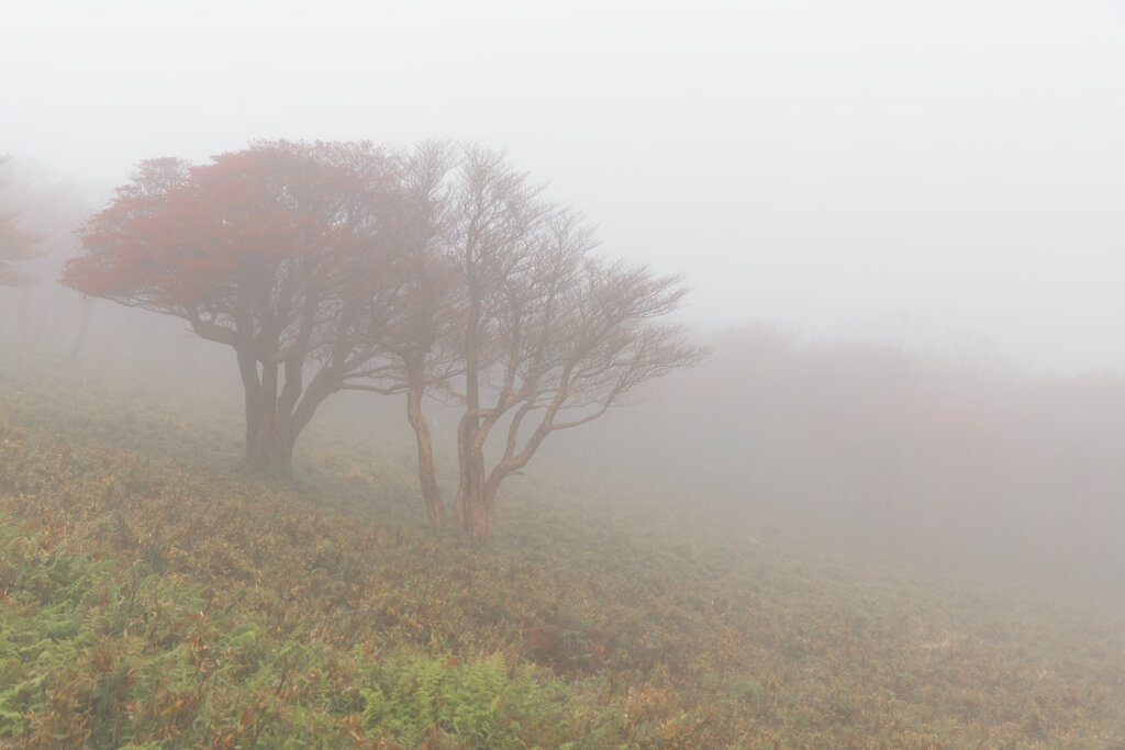 霧の山頂